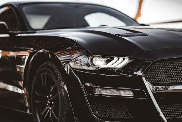 스피날롯 카지노 안드로이드/iOS 앱